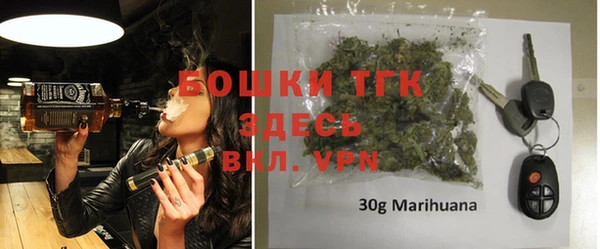 ГАЛЛЮЦИНОГЕННЫЕ ГРИБЫ Бородино