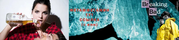ГАЛЛЮЦИНОГЕННЫЕ ГРИБЫ Бородино