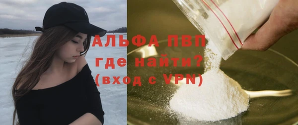 ГАЛЛЮЦИНОГЕННЫЕ ГРИБЫ Бородино