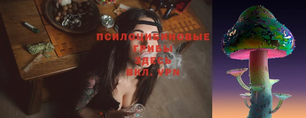 ГАЛЛЮЦИНОГЕННЫЕ ГРИБЫ Бородино