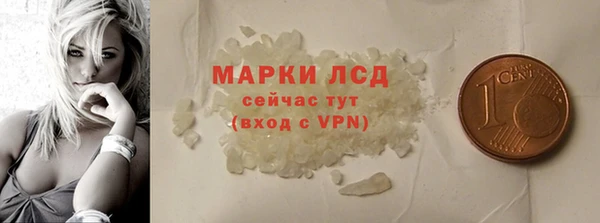ГАЛЛЮЦИНОГЕННЫЕ ГРИБЫ Бородино