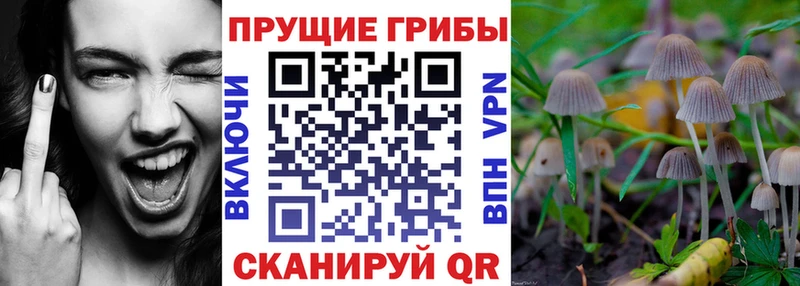 Псилоцибиновые грибы мухоморы  Купить закладки  Канск 